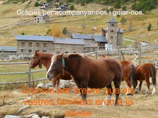 Gràcies per acompanyar-nos i guiar-nos.
Gràcies per creure que els
vostres familiars eren a la
classe
 