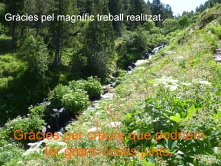 Gràcies pel magnífic treball realitzat.
Gràcies per creure que podríem
fer grans coses junts.
 