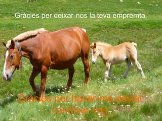 Gràcies per deixar-nos la teva empremta.
Gràcies per haver-me deixat
conèixer-vos
 