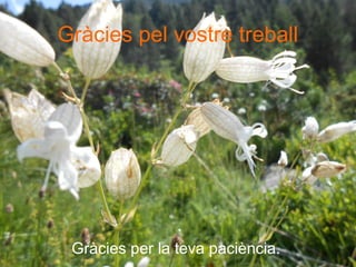 Gràcies pel vostre treball
Gràcies per la teva paciència.
 
