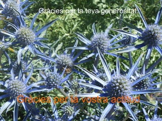 Gràcies per la teva generositat.
Gràcies per la vostra actitud
 