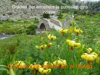 Gràcies per encendre la curiositat dins
nostre.
Gràcies per confiar en el diàleg
 