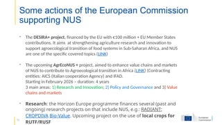 10
Some actions of the European Commission
supporting NUS
- The DESIRA+ project, financed by the EU with €100 million + EU Member States
contributions. It aims at strengthening agriculture research and innovation to
support agroecological transition of food systems in Sub-Saharan Africa, and NUS
are one of the specific covered topics (LINK)
- The upcoming AgrEcoNUS + project, aimed to enhance value chains and markets
of NUS to contribute to Agroecological transition in Africa (LINK) (Contracting
entities: AICS (Italian cooperation Agency) and IFAD.
Starting in February 2026 – duration: 4 years
3 main areas: 1) Research and Innovation; 2) Policy and Governance and 3) Value
chains and markets
- Research: the Horizon Europe programme finances several (past and
ongoing) research projects on that include NUS, e.g.: RADIANT;
CROPDIVA Bio-Value. Upcoming project on the use of local crops for
RUTF/RUSF
 