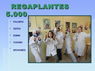 REGAPLANTESREGAPLANTES
5.0005.000
 PALMIRAPALMIRA
 SERGISERGI
 EMMAEMMA
 CHAIMACHAIMA

MOHAMEDMOHAMED
 