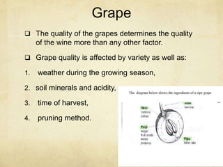 Grape
 The quality of the grapes determines the quality
of the wine more than any other factor.
 Grape quality is affected by variety as well as:
1. weather during the growing season,
2. soil minerals and acidity,
3. time of harvest,
4. pruning method.
 
