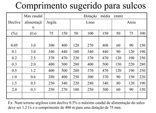 Rega_sulcos_N.pdf