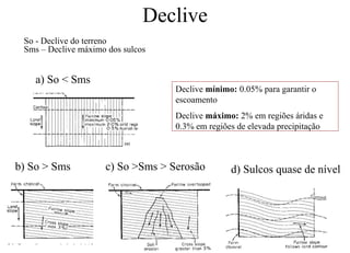 Rega_sulcos_N.pdf