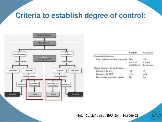 REG COPD Control Working Group Meeting 25/9/15