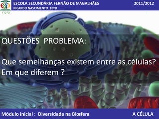 ESCOLA SECUNDÁRIA FERNÃO DE MAGALHÃES   2011/2012
     RICARDO NASCIMENTO 10ºD




QUESTÕES PROBLEMA:

Que semelhanças existem entre as células?
Em que diferem ?



Módulo inicial : Diversidade na Biosfera     A CÉLULA
 