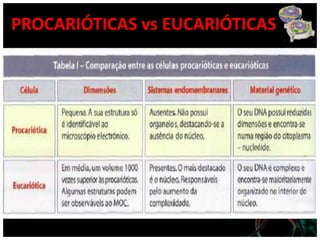 PROCARIÓTICAS vs EUCARIÓTICAS
 