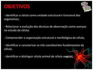 OBJETIVOS
- Identificar a célula como unidade estrutural e funcional dos
organismos;

- Relacionar a evolução das técnicas de observação como avanços
no estudo da célula;

- Compreender a organização estrutural e morfológica da célula;

- Identificar e caracterizar os três constituintes fundamentais da
célula;

- Identificar e distinguir célula animal de célula vegetal;
 