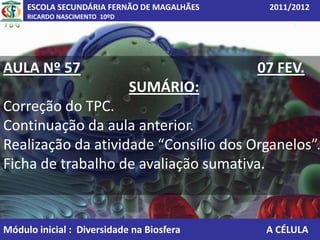 ESCOLA SECUNDÁRIA FERNÃO DE MAGALHÃES    2011/2012
     RICARDO NASCIMENTO 10ºD




AULA Nº 57                                   07 FEV.
                               SUMÁRIO:
Correção do TPC.
Continuação da aula anterior.
Realização da atividade “Consílio dos Organelos”.
Ficha de trabalho de avaliação sumativa.



Módulo inicial : Diversidade na Biosfera      A CÉLULA
 