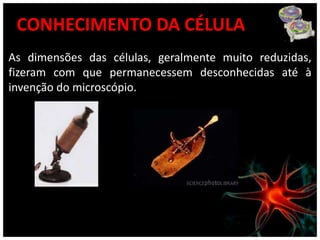 CONHECIMENTO DA CÉLULA
As dimensões das células, geralmente muito reduzidas,
fizeram com que permanecessem desconhecidas até à
invenção do microscópio.
 