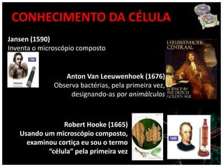 CONHECIMENTO DA CÉLULA
Jansen (1590)
Inventa o microscópio composto


                 Anton Van Leeuwenhoek (1676)
              Observa bactérias, pela primeira vez,
                   designando-as por animálculos



                Robert Hooke (1665)
   Usando um microscópio composto,
     examinou cortiça eu sou o termo
           “célula” pela primeira vez
 