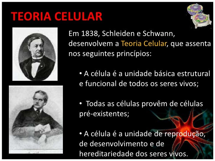 A Teoria Celular Proposta Por Schleiden E Schwann Afirma Que