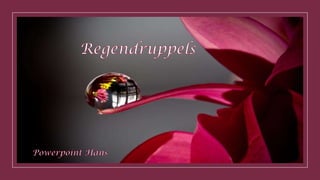 Regendruppels 1
