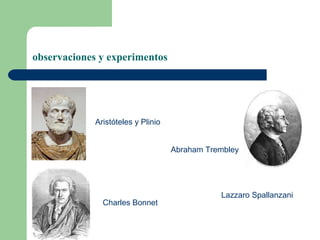 observaciones y experimentos




             Aristóteles y Plinio


                                    Abraham Trembley




                                               Lazzaro Spallanzani
               Charles Bonnet
 