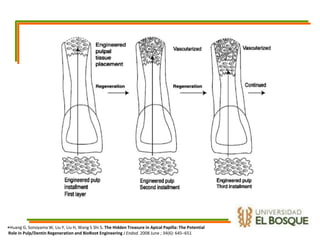 Endodoncia Regenerativa: Regeneración tisular en endodoncia | PPTX