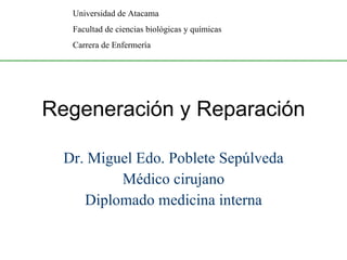 Regeneración y Reparación Dr. Miguel Edo. Poblete Sepúlveda Médico cirujano Diplomado medicina interna Universidad de Atacama Facultad de ciencias biológicas y químicas Carrera de Enfermería 