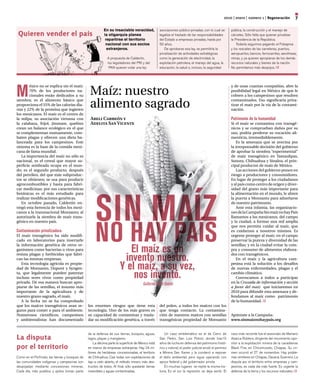 2010 | enero | número 1 | regeneración            7
                                                             En su insaciable voracidad,                asociaciones público-privadas, con lo cual se        pública, la construcción y el manejo de
 Quieren vender el país                                      la oligarquía planea                       legaliza el traslado de las responsabilidades        cárceles. Sólo falta que quieran privatizar
                                                              repartirse el territorio                  del Estado a empresas privadas, hasta por            la Presidencia de la República.
                                                              nacional con sus socios                   50 años.                                                 Todavía seguimos pagando el Fobaproa
                                                               extranjeros.                                 De aprobarse esa ley, se permitiría la           y los rescates de las carreteras, puertos,
                                                                                                        privatización de actividades estratégicas            aeropuertos, bancos, ferrocarriles, aerolíneas,
                                                                A propuesta de Calderón,                como la generación de electricidad, la               minas, y ya quieren apropiarse de los demás
                                                                los legisladores del PRI y del          explotación petrolera, el manejo del agua, la        recursos naturales y bienes de la nación.
                                                                 PAN quieren votar una ley              educación, la salud o, incluso, la seguridad         No permitamos más despojos.




M                                                  Maíz: nuestro
        éxico no se explica sin el maíz:                                                                                                                     y de unas cuantas compañías, abre la
        70% de los productores na-                                                                                                                           posibilidad legal en México de que le
        cionales están dedicados a su                                                                                                                        cobren a los campesinos que resulten
siembra; es el alimento básico que
proporciona el 55% de las calorías dia-
rias y 22% de la proteína que ingieren
                                                   alimento sagrado                                                                                          contaminados. Eso significaría priva-
                                                                                                                                                             tizar el maíz por la vía de la contami-
                                                                                                                                                             nación.
los mexicanos. El maíz es el centro de
la milpa, su asociación virtuosa con               Areli Carreón y                                                                                           Patrimonio de la humanidad
la calabaza, frijol, jitomate, quelites            Adelita San Vicente                                                                                       Si el maíz se contamina con transgé-
crean un balance ecológico en el que                                                                                                                         nicos y se comprueban daños por su
se complementan mutuamente, com-                                                                                                                             uso, podría perderse su vocación ali-
baten plagas y ofrecen una dieta ba-                                                                                                                         menticia, irremediablemente.
lanceada para los campesinos. Este                                                                                                                               Es la amenaza que se avecina por
sistema es la base de la comida mexi-                                                                                                                        la irresponsable decisión del gobierno
cana de fama mundial.                                                                                                                                        de aprobar la siembra “experimental”
   La importancia del maíz no sólo es                                                                                                                        de maíz transgénico en Tamaulipas,
nacional, es el cereal que mayor su-                                                                                                                         Sonora, Chihuahua y Sinaloa, el prin-
perficie sembrada ocupa en el mun-                                                                                                                           cipal productor de maíz de México.
do; es el segundo producto, después                                                                                                                              Las acciones del gobierno ponen en
del petróleo, del que más subproduc-                                                                                                                         riesgo a productores y consumidores.
tos se obtienen; se usa para producir                                                                                                                        En lugar de proteger a los ciudadanos
agrocombustibles y hasta para fabri-                                                                                                                         y al país como centro de origen y diver-
car medicinas; por sus características                                                                                                                       sidad del grano más importante para




                                                       SIN MAÍZ
botánicas es el más estudiado para                                                                                                                           la alimentación en el mundo, le abren
realizar modificaciones genéticas.                                                                                                                           la puerta a Monsanto para adueñarse
   En octubre pasado, Calderón en-                                                                                                                           de nuestro patrimonio.
tregó esta herencia de todos los mexi-                                                                                                                           Ante esta infamia, las organizacio-
canos a la transnacional Monsanto, al                                                                                                                        nes de la Campaña Sin maíz no hay País
autorizarle la siembra de maíz trans-                                                                                                                        llamamos a los mexicanos, del campo




                                                       NO HAYes unPAÍS
génico en nuestro país.                                                                                                                                      y la ciudad, a formar una red amplia
                                                                                                                                                             que nos permita cuidar al maíz, que
Contaminación privatizadora                                                                                                                                  es cuidarnos a nosotros mismos. Es
El maíz transgénico ha sido modifi-                                                                                                                          urgente proteger al maíz: en el campo
cado en laboratorios para insertarle                                                                                                                         preservar la pureza y diversidad de las

                                                          El maíz
la información genética de otros or-                                                                                                                         semillas; y en la ciudad evitar la com-
ganismos como bacterias o virus para                                                                                                                         pra y consumo de alimentos elabora-
resista plagas y herbicidas que fabri-
can las mismas empresas.                                                  invento nuestro.                                                                   dos con transgénicos.
                                                                                                                                                                 En el maíz y la agricultura cam-
   Esta tecnología agrícola es propie-
dad de Monsanto, Dupont y Syngen-                                        Y el maíz, a su vez,                                                                pesina está la solución a los desafíos
                                                                                                                                                             de nuevas enfermedades, plagas y el
ta, que legalmente pueden patentar
incluso seres vivos como propiedad
privada. De esa manera buscan apro-
                                                                             nos inventó.                                                                    cambio climático.
                                                                                                                                                                 Convocamos a todos a participar
                                                                                                                                                             en la Cruzada de información y acción
                                                                                           Guillermo Bonfil Batalla
piarse de las semillas, el insumo más                                                                                                                        a favor del maíz que iniciaremos en
importante de la agricultura y de                                                                                                                            2010 para difundir esta amenaza y de-
nuestro grano sagrado, el maíz.                                                                                                                              fendamos al maíz como patrimonio
   A la fecha no se ha comprobado                                                                                                                            de la humanidad.
que los maíces transgénicos sean se-              los enormes riesgos que tiene esta                    del polen, a todos los maíces con los
guros para comer o para el ambiente.              tecnología. Uno de los más graves es                  que tenga contacto. La contamina-
Numerosos científicos, campesinos                 su capacidad de contaminar y trasla-                  ción de nuestros maíces con semillas                 Apúntate a la Campaña:
y ambientalistas han documentado                  dar su modificación genética, a través                transgénicas propiedad de Monsanto                   www.sinmaiznohaypais.org


                                                  de la defensa de sus tierras, bosques, aguas,             Un caso emblemático es el de Cerro de            caso más reciente fue el asesinato de Mariano
La disputa                                        lagos, playas y manglares.
                                                      La décima parte la superficie de México está
                                                                                                        San Pedro, San Luis Potosí, donde tras10
                                                                                                        años de lucha en defensa del patrimonio histó-
                                                                                                                                                             Abarca Roblero, dirigente del movimiento opo-
                                                                                                                                                             sitor a la explotación minera de la canadiense
por el territorio                                 en manos de empresas extranjeras. Hay 24 mi-
                                                  llones de hectáreas concesionadas, el territorio
                                                                                                        rico y natural, el poder judicial anuló el permiso
                                                                                                        a Minera San Xavier y la condenó a reponer
                                                                                                                                                             Black Fire, en Chicomuselo, Chiapas. Su cri-
                                                                                                                                                             men ocurrió el 27 de noviembre. Hay proble-
Como en el Porfiriato, las tierras y bosques de   de Chihuahua. Casi todas son explotaciones de         el daño ambiental; pero sigue operando con           mas similares en Chiapas, Oaxaca, Guerrero. La
las comunidades indígenas y campesinas son        tajo a cielo abierto, el método minero más des-       apoyo federal y del gobernador priista.              disputa por el territorio entre empresas y cam-
despojadas mediante concesiones mineras.          tructivo de todos. Al final, sólo quedarán tierras        En muchas lugares se repite la misma his-        pesinos, es cada dia más fuerte. Es urgente la
Cada día, más pueblos y ejidos toman parte        inservibles y aguas contaminadas.                     toria. En el sur la represión se deja sentir. El     defensa de la tierra y los recursos naturales.
 
