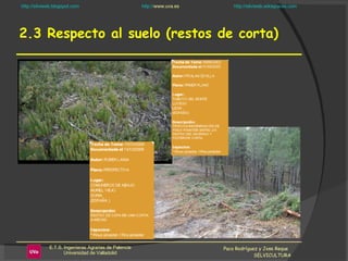 2.3 Respecto al suelo (restos de corta) Paco Rodríguez y Jose Reque  SELVICULTURA 