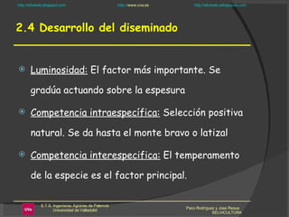 2.4 Desarrollo del diseminado Luminosidad:  El factor más importante. Se gradúa actuando sobre la espesura   Competencia intraespecífica:  Selección positiva natural. Se da hasta el monte bravo o latizal Competencia interespecifica:  El temperamento de la especie es el factor principal.  Paco Rodríguez y Jose Reque  SELVICULTURA 