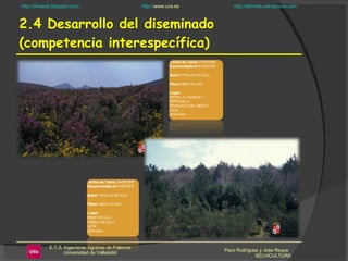 2.4 Desarrollo del diseminado (competencia interespecífica) Paco Rodríguez y Jose Reque  SELVICULTURA 