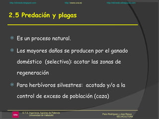 2.5 Predación y plagas Es un proceso natural.  Los mayores daños se producen por el ganado doméstico  (selectiva): acotar las zonas de regeneración Para herbívoros silvestres:  acotado y/o a la control de exceso de población (caza) Paco Rodríguez y Jose Reque  SELVICULTURA 