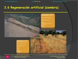 2.6 Regeneración artificial (siembra) Paco Rodríguez y Jose Reque  SELVICULTURA 
