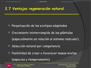 2.7 Ventajas regeneración natural Paco Rodríguez y Jose Reque  SELVICULTURA Perpetuación de los ecotipos adaptados Crecimiento ininterrumpido de las plántulas (especialmente en relación al sistema radicular). Selección natural por competencia Posibilidad de crear o favorecer masas mixtas (especies y temperamento) 