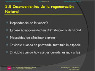 2.8 Inconvenientes de la regeneración Natural Paco Rodríguez y Jose Reque  SELVICULTURA Dependencia de la vecería Escasa homogeneidad en distribución y densidad Necesidad de efectuar clareos Inviable cuando se pretende sustituir la especie Inviable cuando hay cargas ganaderas muy altas 