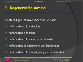 2. Regeneración natural Factores que influyen (Serrada, 2002): referentes a la estación referentes a la masa referentes a la superficie de suelo referentes al desarrollo del diseminado referentes a las de plagas y enfermedades Paco Rodríguez y Jose Reque  SELVICULTURA 