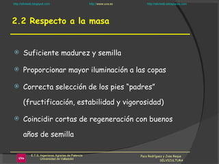 2.2 Respecto a la masa Suficiente madurez y semilla Proporcionar mayor iluminación a las copas Correcta selección de los pies “padres” (fructificación, estabilidad y vigorosidad) Coincidir cortas de regeneración con buenos años de semilla Paco Rodríguez y Jose Reque  SELVICULTURA 