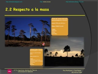 2.2 Respecto a la masa Paco Rodríguez y Jose Reque  SELVICULTURA 