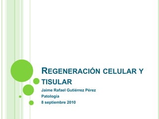 REGENERACIÓN CELULAR Y
TISULAR
Jaime Rafael Gutiérrez Pérez
Patología
8 septiembre 2010
 