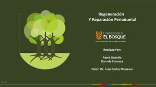 Realizao Por:
Paola Guardia
Daniela Fonseca
Tutor: Dr. Juan Carlos Munevar
Regeneración
Y Reparación Periodontal
 