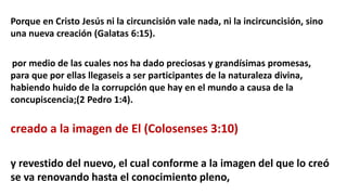 Regeneracion Y Sus Efectos Pptx