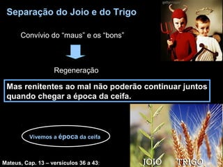 Separação do Joio e do Trigo 
Convívio do “maus” e os “bons” 
Regeneração 
Mas renitentes ao mal não poderão continuar juntos 
quando chegar a época da ceifa. 
Vivemos a época da ceifa 
Mateus, Cap. 13 – versículos 36 a 43: 
 