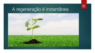A regeneração é instantânea
16
 
