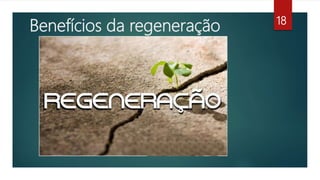 Benefícios da regeneração 18
 