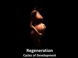 Regeneration
Cycles of Development
 