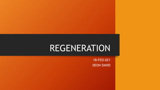 REGENERATION
18-PZO-021
DEON DAVID
 