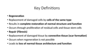 Regeneration & Repair of body tissues and cells | PPTX