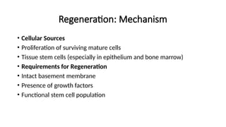Regeneration & Repair of body tissues and cells | PPTX