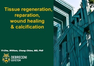 Yi-Che, William, Chang Chien, MD, PhD
Tissue regeneration,
reparation,
wound healing
& calcification
 