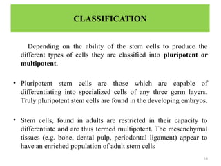 14
CLASSIFICATION
Depending on the ability of the stem cells to produce the
different types of cells they are classified into pluripotent or
multipotent.
• Pluripotent stem cells are those which are capable of
differentiating into specialized cells of any three germ layers.
Truly pluripotent stem cells are found in the developing embryos.
• Stem cells, found in adults are restricted in their capacity to
differentiate and are thus termed multipotent. The mesenchymal
tissues (e.g. bone, dental pulp, periodontal ligament) appear to
have an enriched population of adult stem cells
 