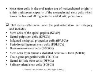 16
• Most stem cells in the oral region are of mesenchymal origin. It
is this multipotent capacity of the mesenchymal stem cells which
forms the basis of all regenerative endodontic procedures .
 Oral stems cells come under the post natal stem cell category
and includes
• Stem cells of the apical papilla (SCAP)
• Dental pulp stem cells (DPSCs)
• Inﬂamed periapical progenitor cells (iPAPCs)
• Periodontal ligament stem cells (PDLSCs)
• Bone marrow stem cells (BMSCs)
• Stem cells from human exfoliated deciduous teeth (SHED)
• Tooth germ progenitor cells (TGPCs)
• Dental follicle stem cells (DFSCs)
• Salivary gland stem cells (SGSCs)
J Istanbul Univ Fac Dent 2017;51(3 Suppl 1):S41-S51.
 