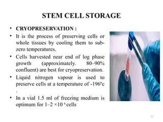 21
STEM CELL STORAGE
• CRYOPRESERVATION :
• It is the process of preserving cells or
whole tissues by cooling them to sub-
zero temperatures.
• Cells harvested near end of log phase
growth (approximately. 80–90%
confluent) are best for cryopreservation.
• Liquid nitrogen vapour is used to
preserve cells at a temperature of -196ºc
.
• In a vial 1.5 ml of freezing medium is
optimum for 1–2 ×10 6
cells
 