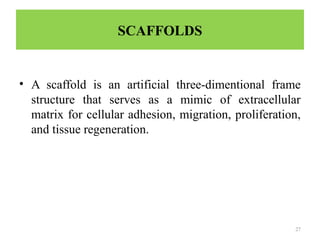 27
SCAFFOLDS
• A scaffold is an artificial three-dimentional frame
structure that serves as a mimic of extracellular
matrix for cellular adhesion, migration, proliferation,
and tissue regeneration.
 