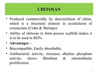 39
CHITOSAN
• Produced commercially by deacetylation of chitin,
which is a structural element in exoskeleton of
crustaceans (Crabs & Shrimps).
• Ability of chitosan to form porous scaffold makes it
is to be used in REPs.
• Advantages –
• Biocompatible, Easily absorbable,
• Antibacterial activity, increases alkaline phosphate
activity, shows fibroblast & odontoblastic
proliferation.
 